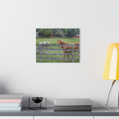 Barn Boutique Modern Farmhouse Acrylic Wall Print| Here's Looking at You