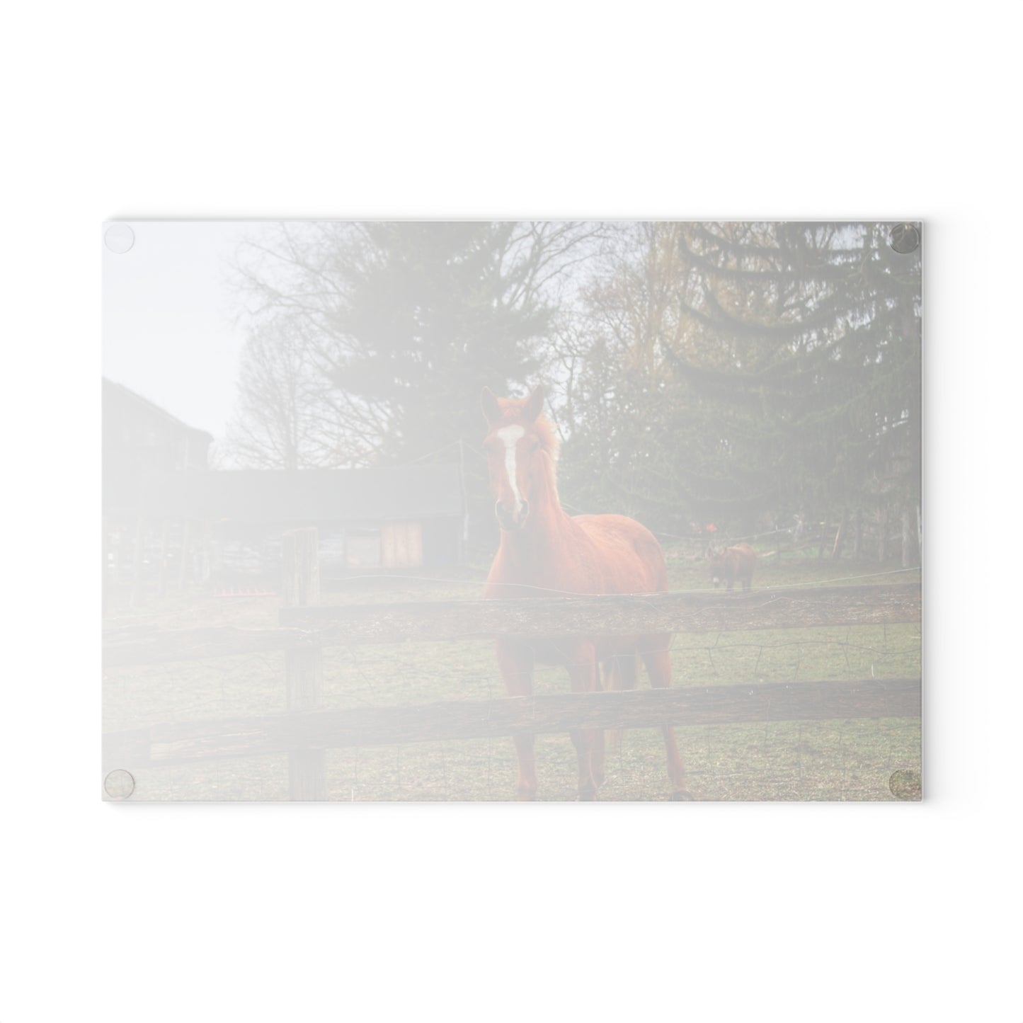 U R There Photography South Summers Road Old Grey and Caramel I Rustic Farmhouse Tempered-Glass Cutting Board