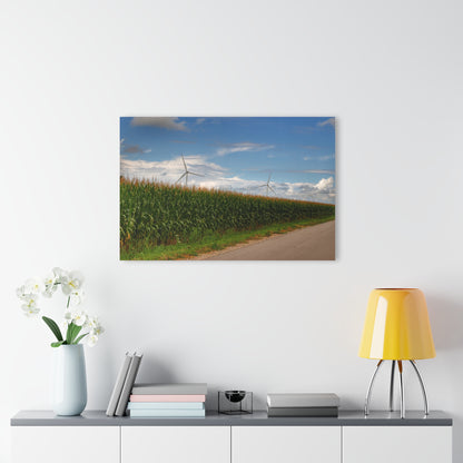 U R There Photography Gilford Road Corn Row Rustic Farmhouse Acrylic Wall Print
