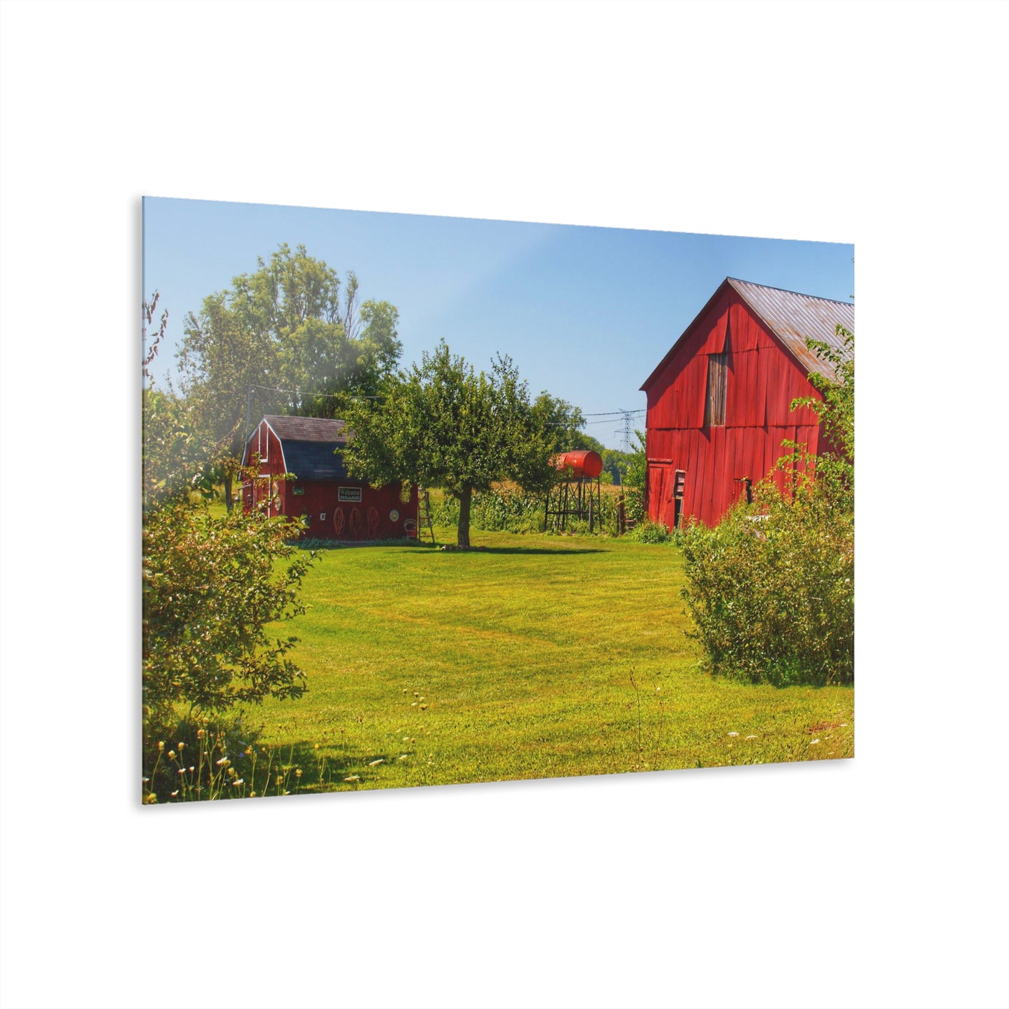 U R There Photography East Farrand Reds Rustic Farmhouse Acrylic Wall Print