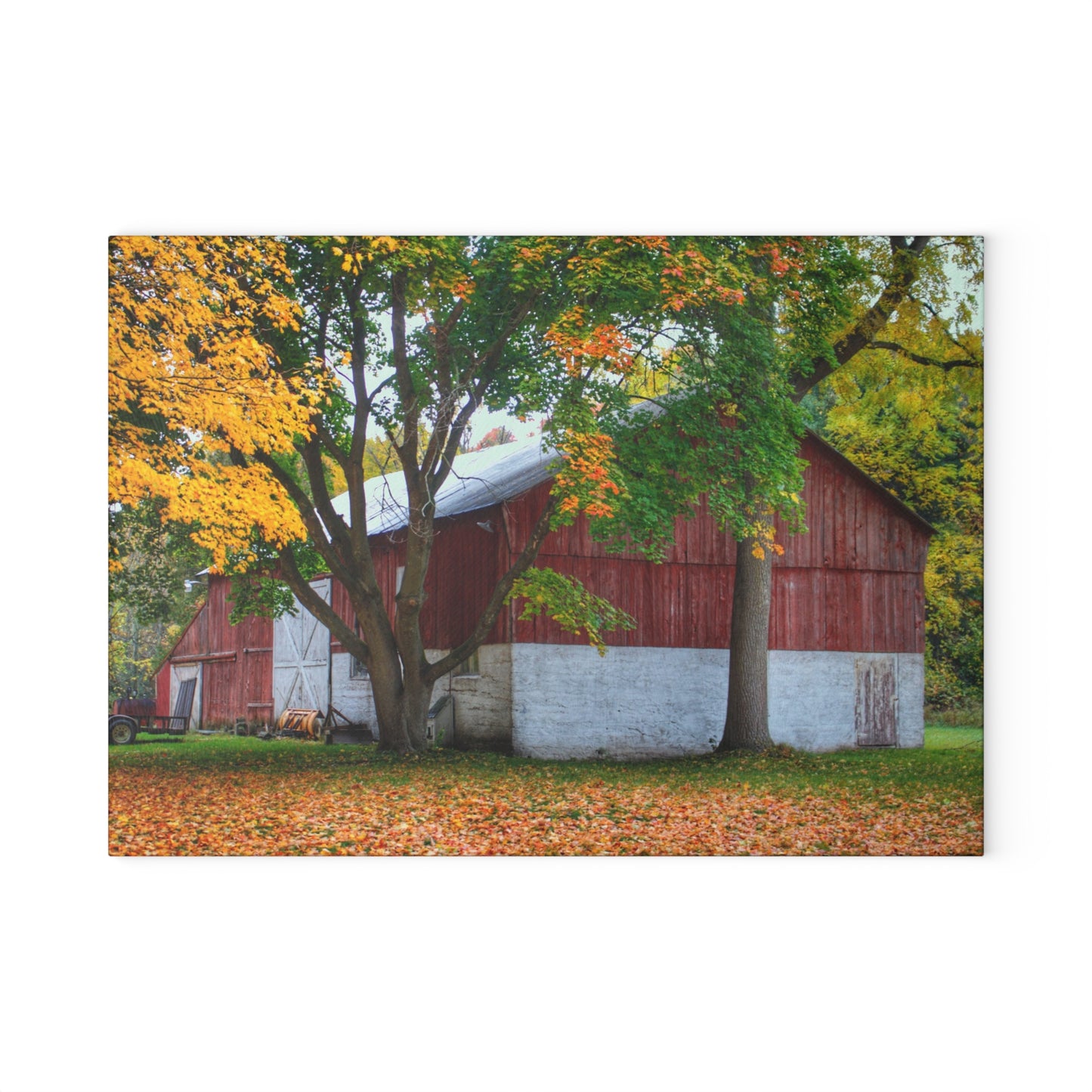 U R There Photography M-25 Red Rustic Farmhouse Tempered-Glass Cutting Board
