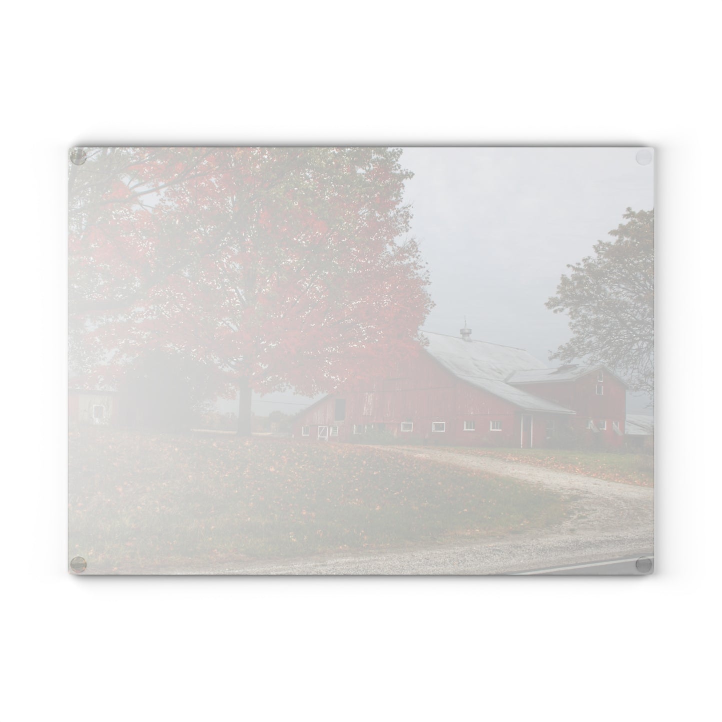 U R There Photography Goodrich Baldwin Road Reds II Rustic Farmhouse Tempered-Glass Cutting Board