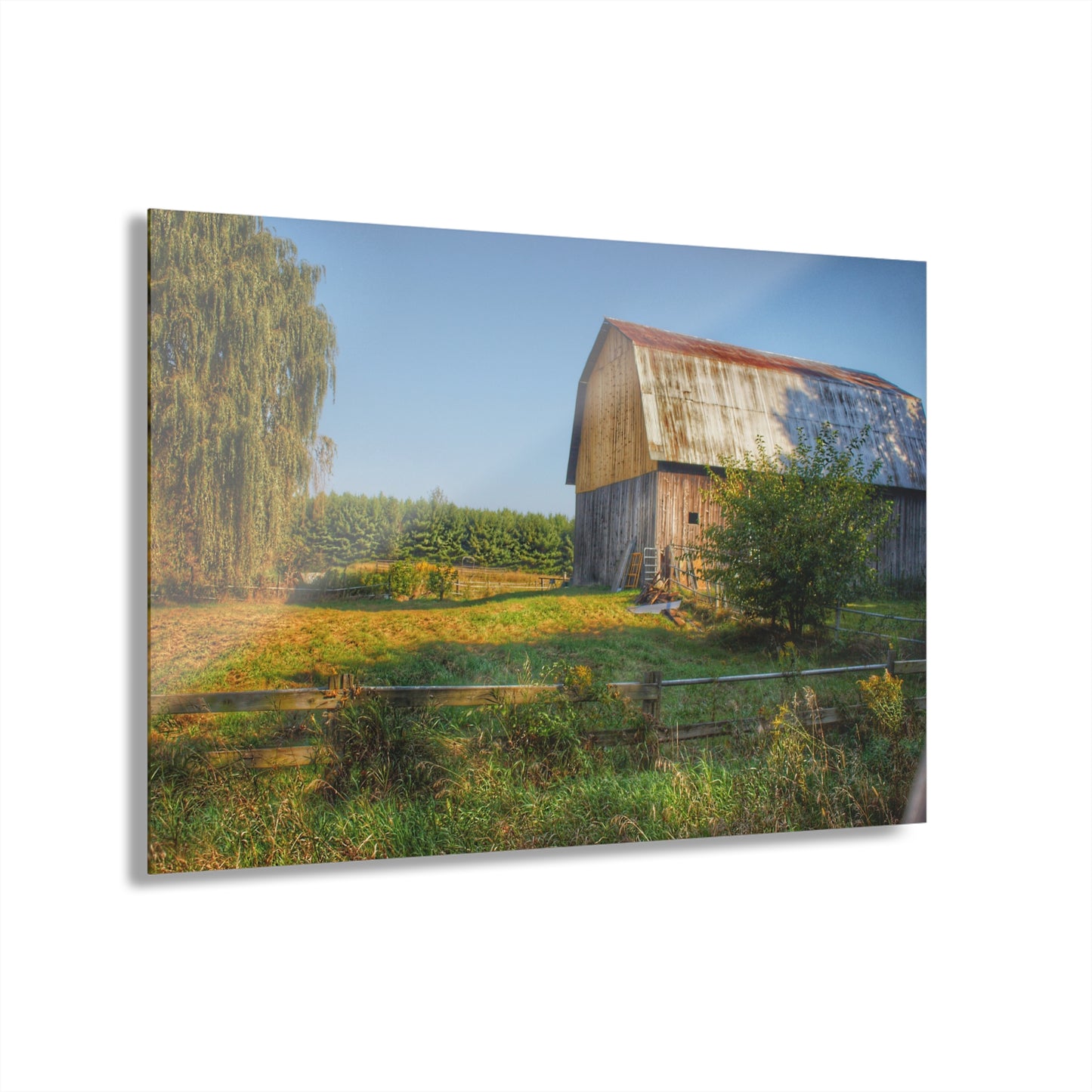 U R There Photography Snover Golden Grey Rustic Farmhouse Acrylic Wall Print