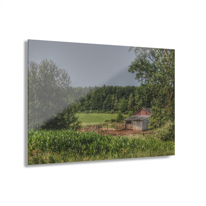 U R There Photography West Oregon Road Hidden Red I Rustic Farmhouse Acrylic Wall Print
