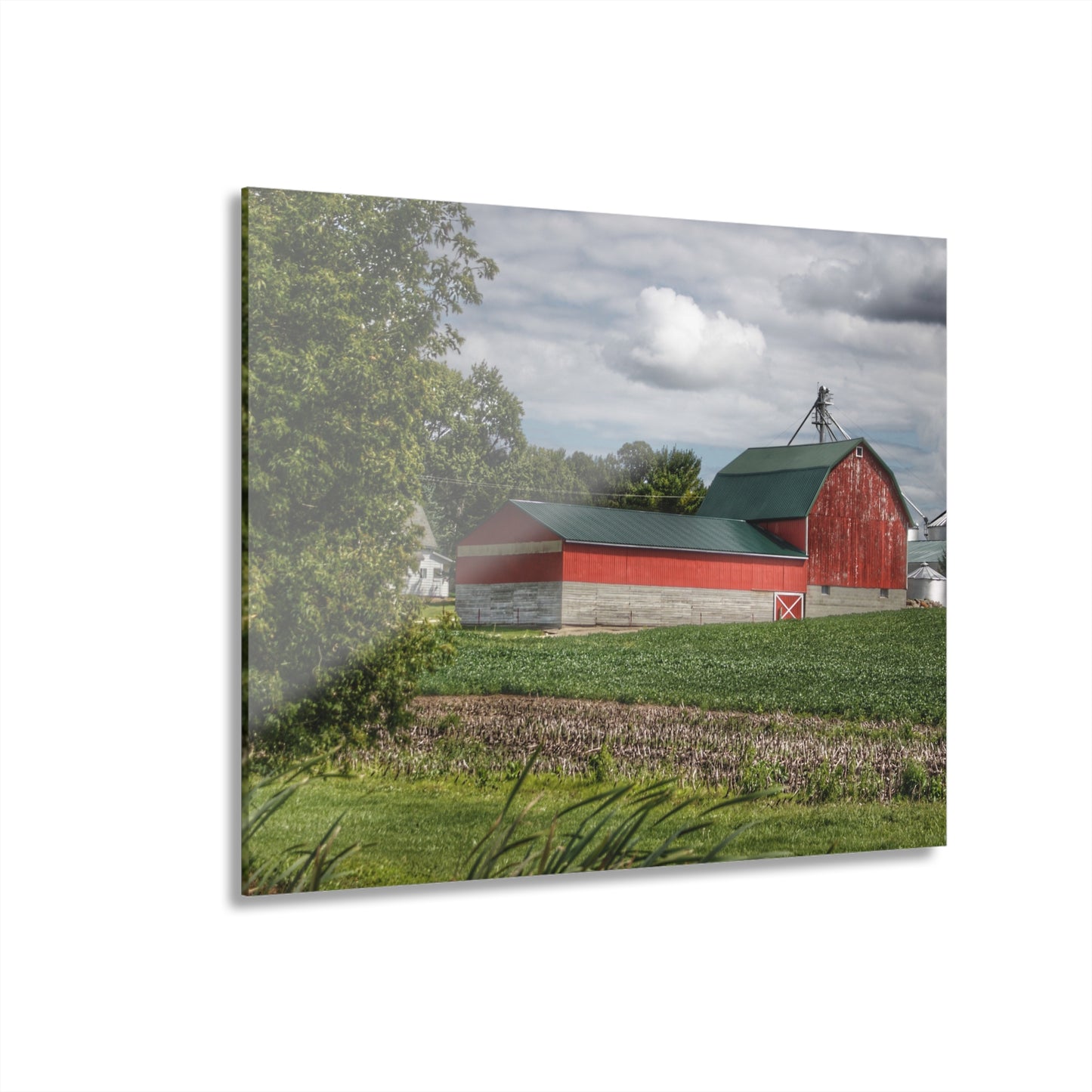 U R There Photography Haines Road Cornfield Reds Rustic Farmhouse Acrylic Wall Print