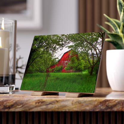 U R There Photography Bird Road Red Rustic Farmhouse Decorative Ceramic Tile
