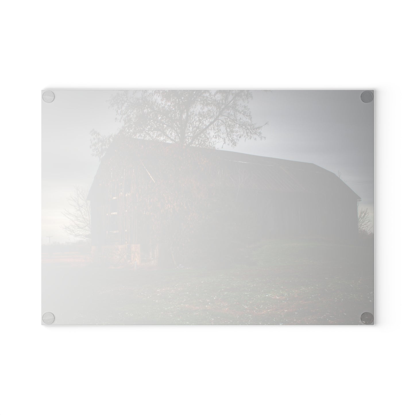 U R There Photography Melvin Grey Rustic Farmhouse Tempered-Glass Cutting Board