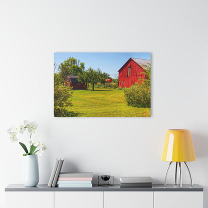 U R There Photography East Farrand Reds Rustic Farmhouse Acrylic Wall Print
