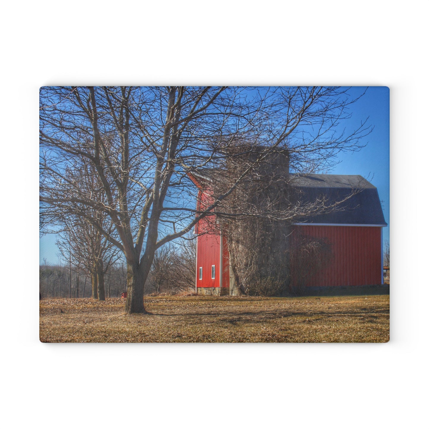 U R There Photography Leonard Road Red Rustic Farmhouse Tempered-Glass Cutting Board 8"x 11"