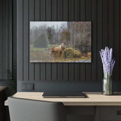 U R There Photography French Road Butterscotch Rustic Farmhouse Acrylic Wall Print