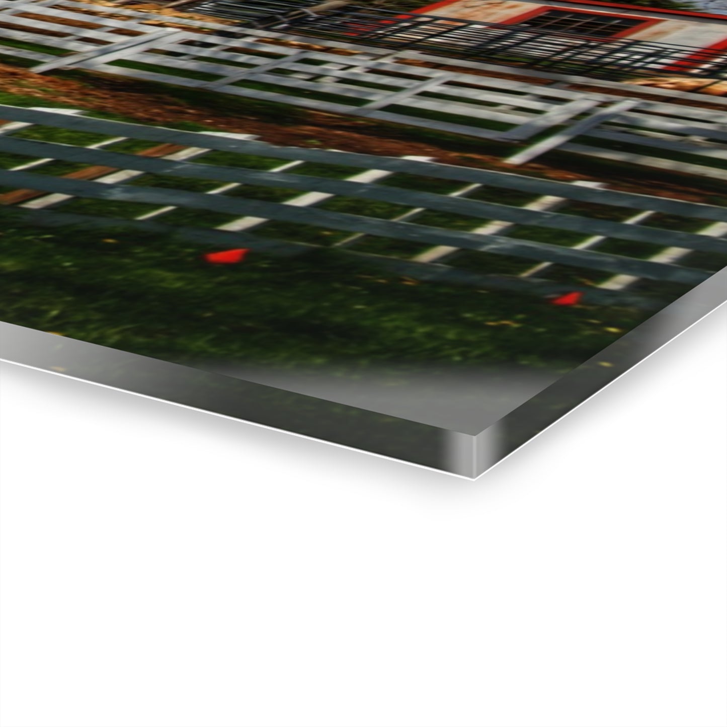 U R There Photography Henderson Whites Rustic Farmhouse Acrylic Wall Print