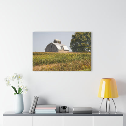 U R There Photography Beyond the September Corn on Swaffer Rustic Farmhouse Acrylic Wall Print