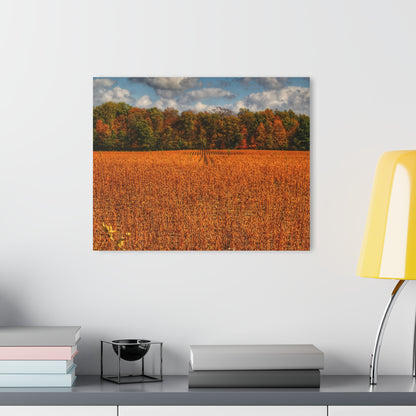 U R There Photography Fall on Murphy Lake I Rustic Farmhouse Acrylic Wall Print