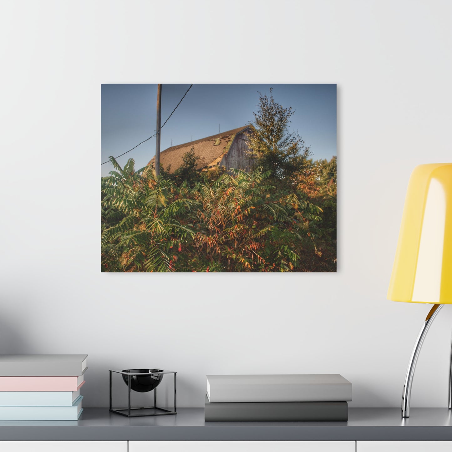 U R There Photography Hidden on Bearanger Road Rustic Farmhouse Acrylic Wall Print