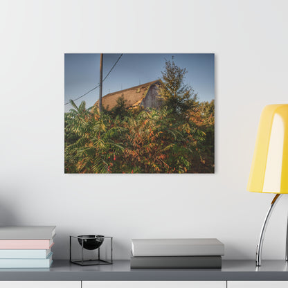 U R There Photography Hidden on Bearanger Road Rustic Farmhouse Acrylic Wall Print