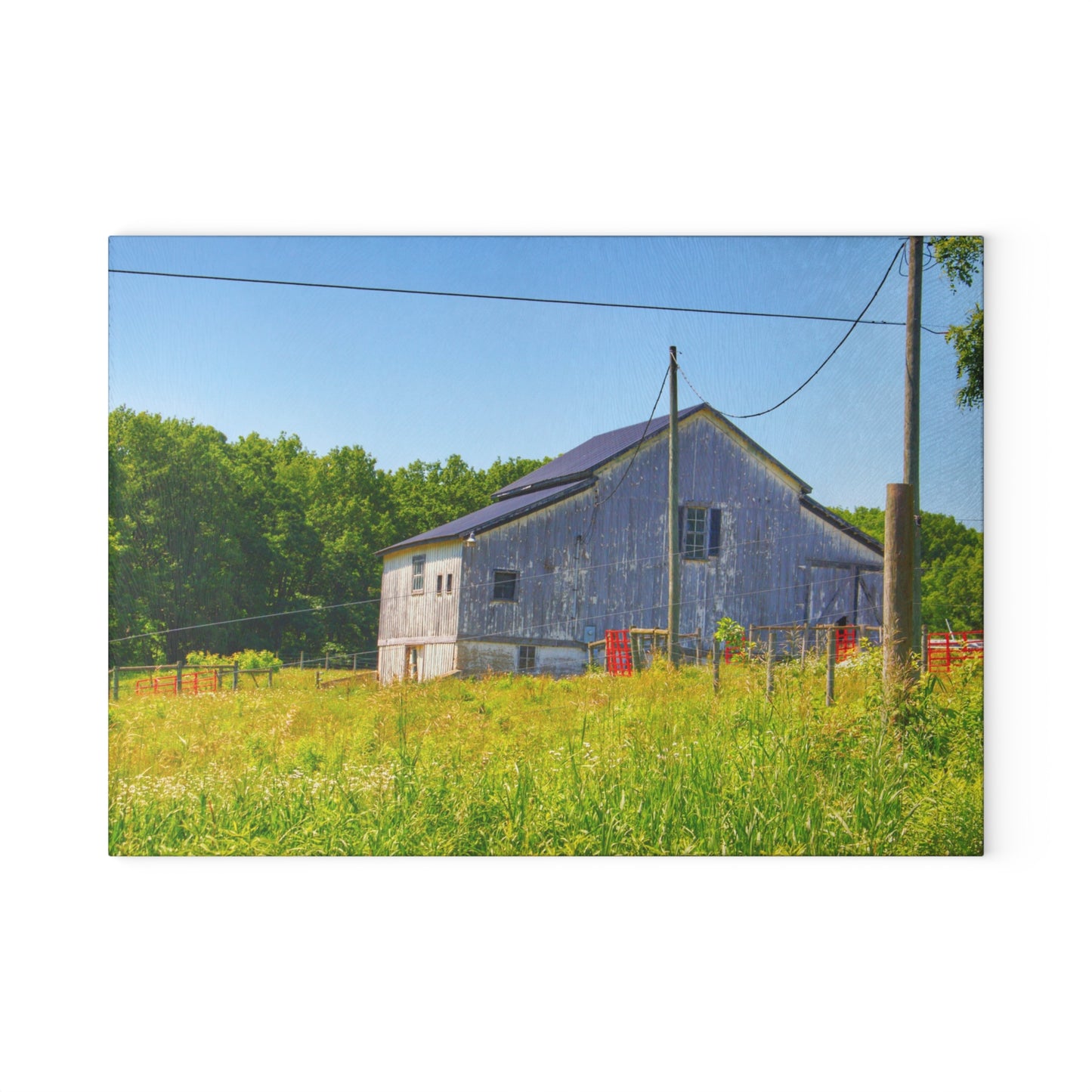 U R There Photography Greenwood Road Whitewash Grey Rustic Farmhouse Tempered-Glass Cutting Board