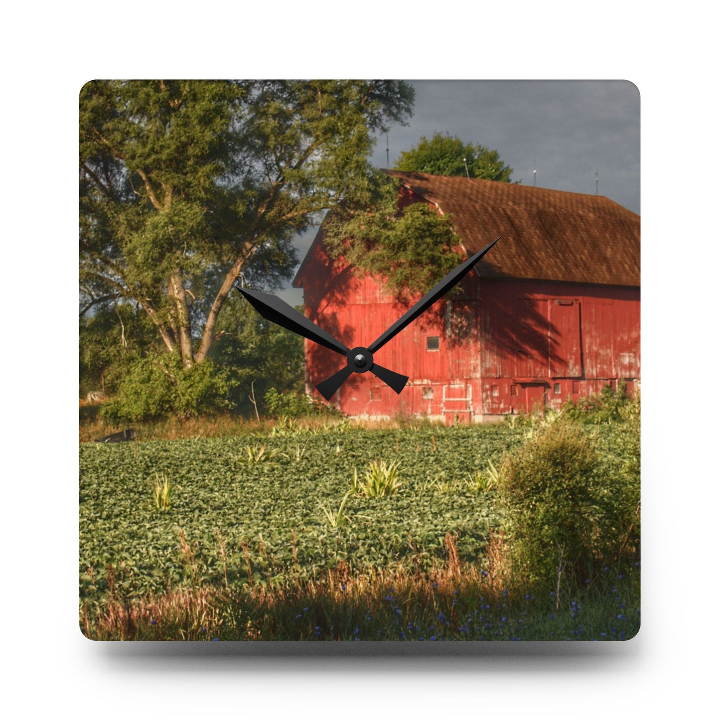 U R There Photography Genesee Road Red II Rustic Farmhouse Acrylic Analog Wall Clock