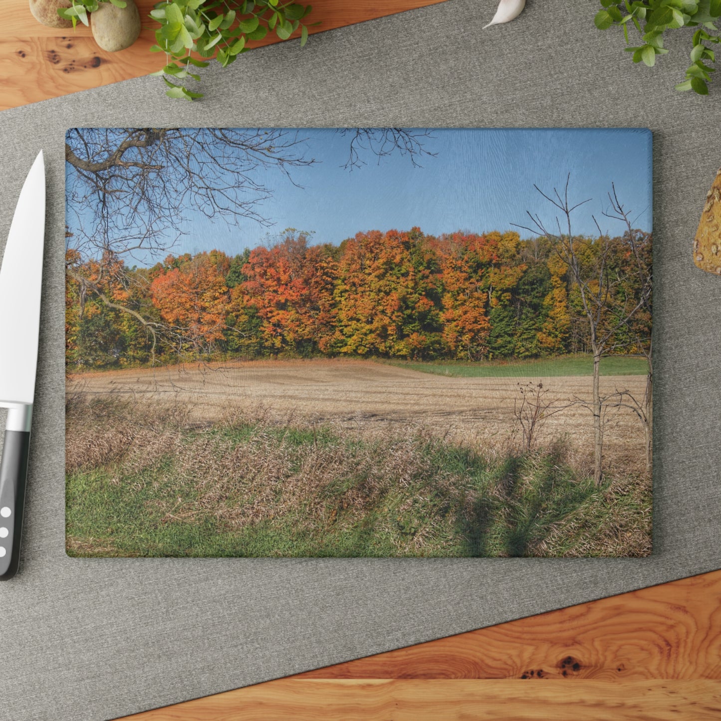 U R There Photography Fall on Piersonville Road Rustic Farmhouse Tempered-Glass Cutting Board