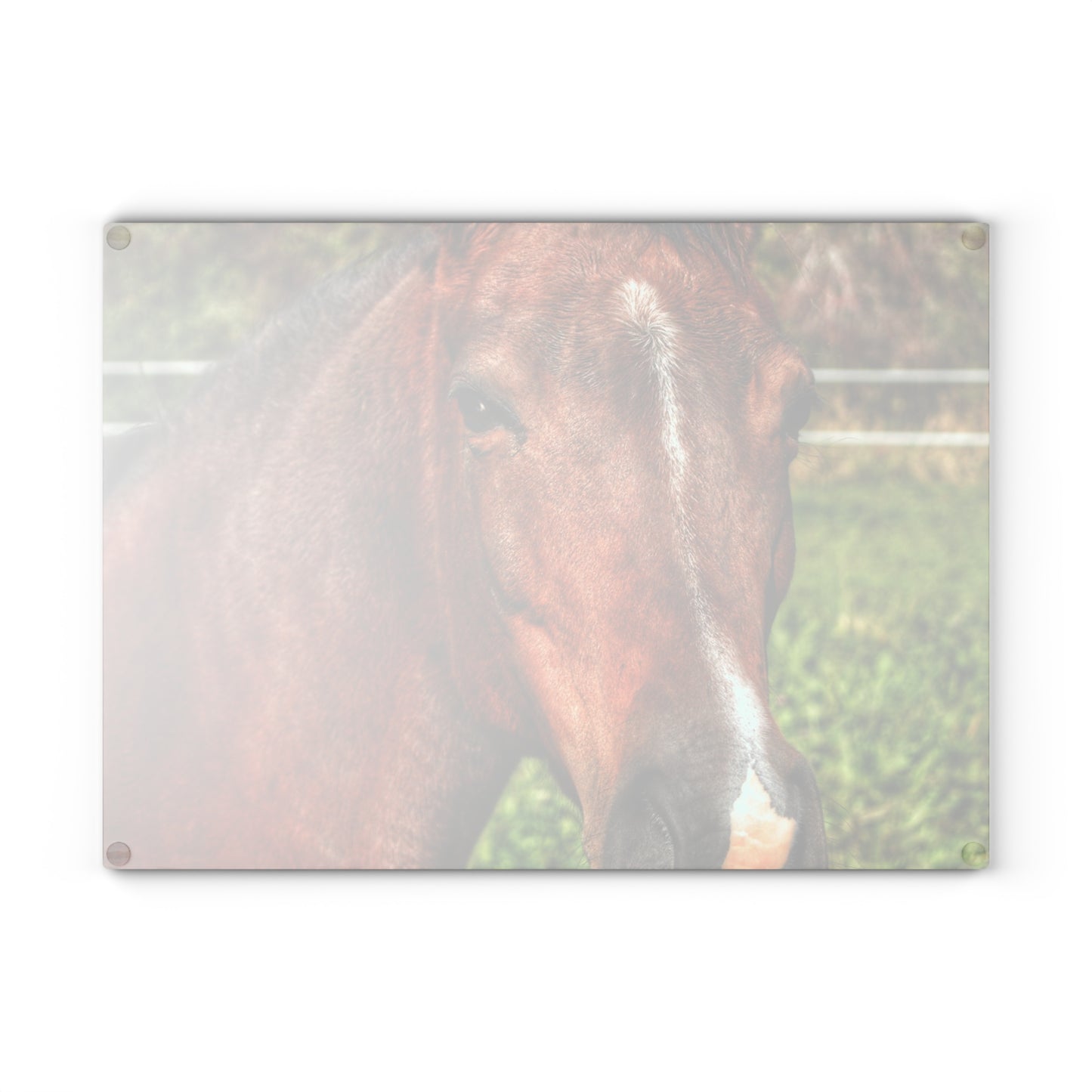 U R There Photography Irish Road Brownie Rustic Farmhouse Tempered-Glass Cutting Board