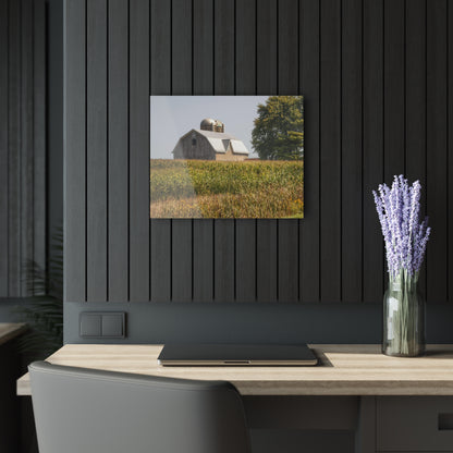 U R There Photography Beyond the September Corn on Swaffer Rustic Farmhouse Acrylic Wall Print