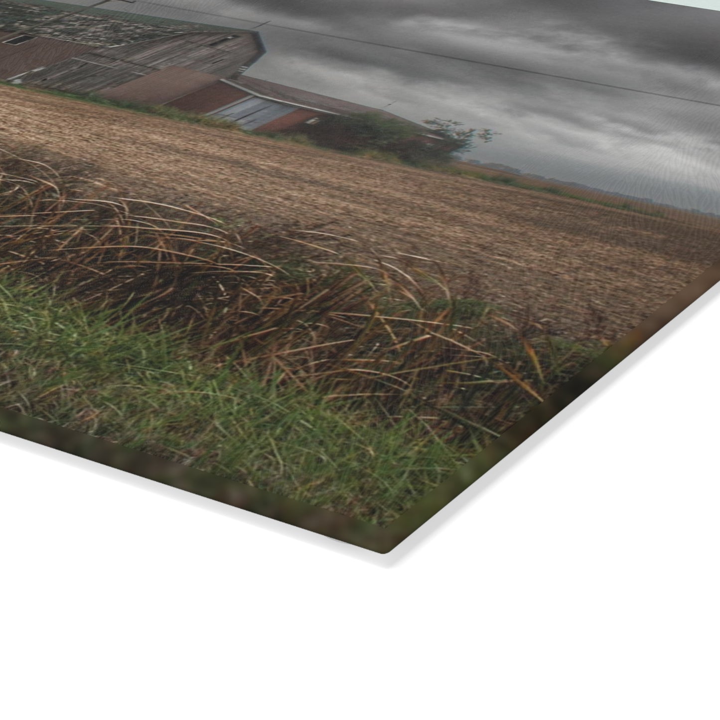 U R There Photography Weaver Road Brown I Rustic Farmhouse Tempered-Glass Cutting Board