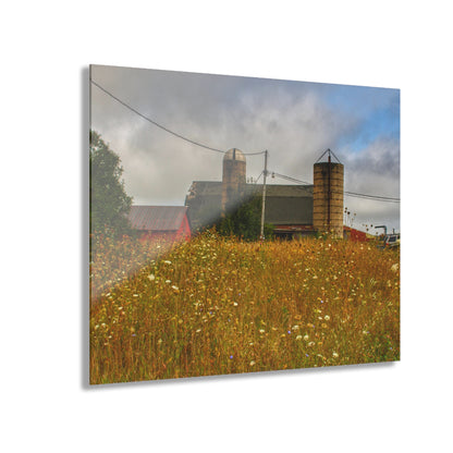 U R There Photography Brown Road Hidden Reds Rustic Farmhouse Acrylic Wall Print