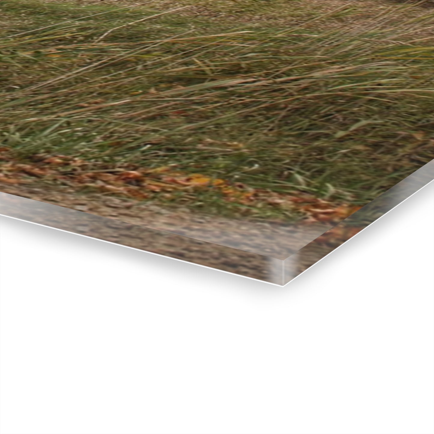 U R There Photography Horton Hilltop Red Rustic Farmhouse Acrylic Wall Print