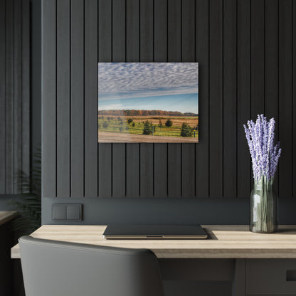 U R There Photography Fences, Firs and Fall Rustic Farmhouse Acrylic Wall Print