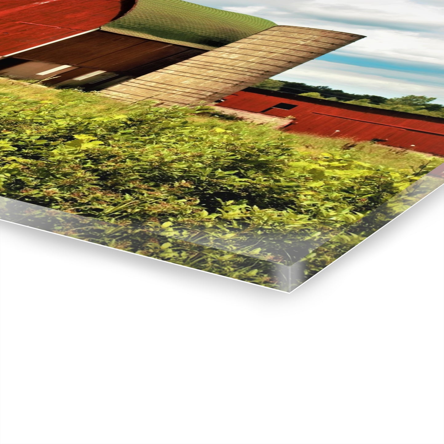 U R There Photography Elmwood Road Red and Horses Rustic Farmhouse Acrylic Wall Print