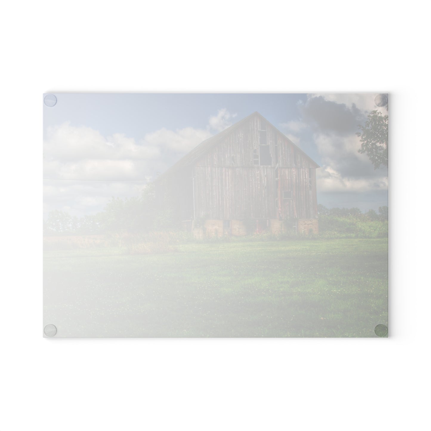 U R There Photography Bohms Road Grey II Rustic Farmhouse Tempered-Glass Cutting Board