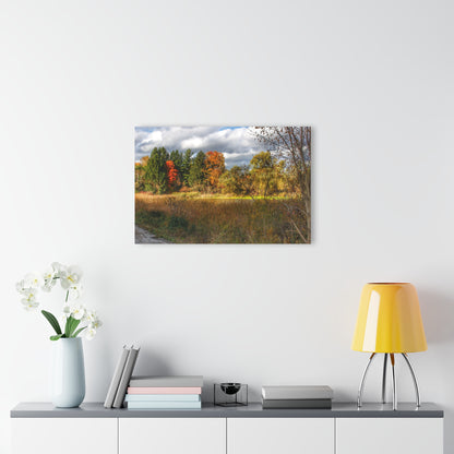 U R There Photography Fall Pond on Sutton Road Rustic Farmhouse Acrylic Wall Print