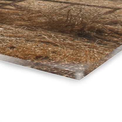 U R There Photography Hough Road Rural Red Rustic Farmhouse Acrylic Wall Print