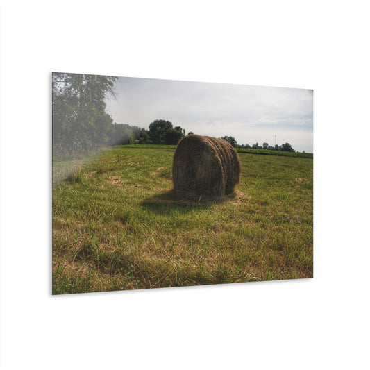 U R There Photography Summer Haybales II Rustic Farmhouse Acrylic Wall Print