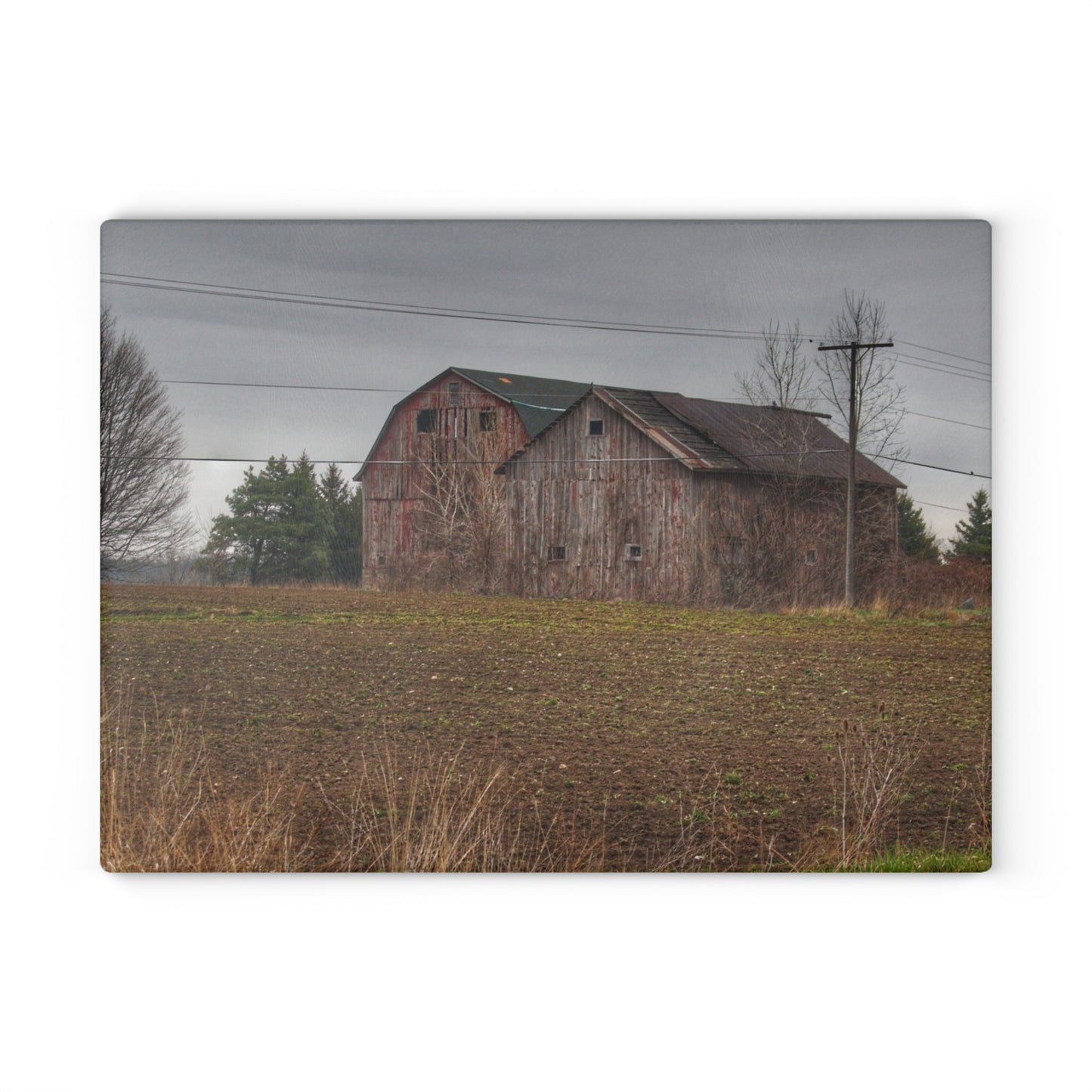 U R There Photography Bowers Road Grey Duo I Rustic Farmhouse Tempered-Glass Cutting Board