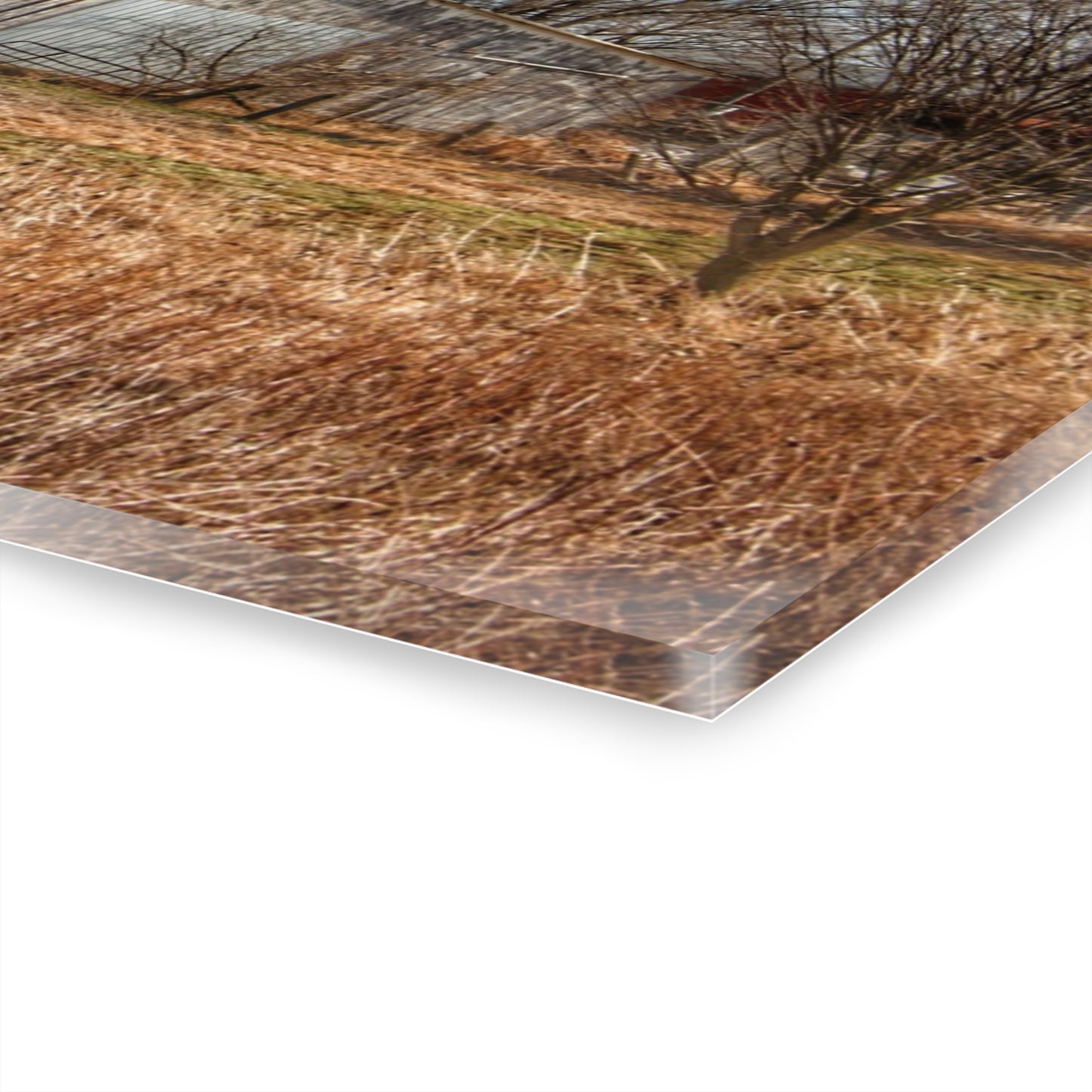 U R There Photography Newark Road White I Rustic Farmhouse Acrylic Wall Print