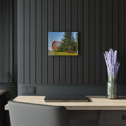 U R There Photography Mushroom Road Hidden Red Rustic Farmhouse Acrylic Wall Print