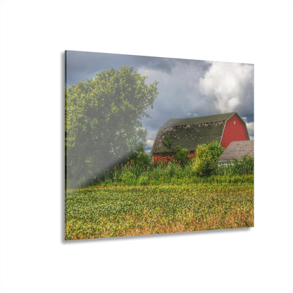 U R There Photography Shelby Red IV Rustic Farmhouse Acrylic Wall Print