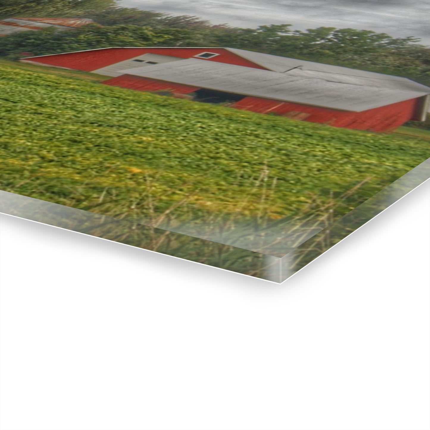 U R There Photography Kingston Road Trio I Rustic Farmhouse Acrylic Wall Print