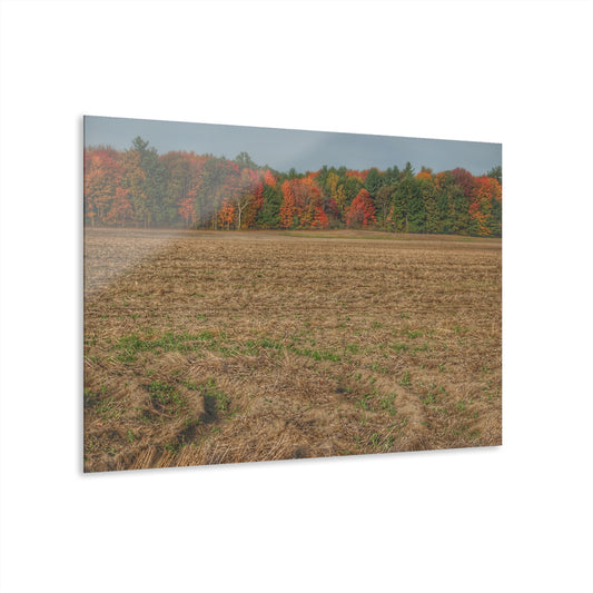 U R There Photography Fall on Murphy Lake III Rustic Farmhouse Acrylic Wall Print