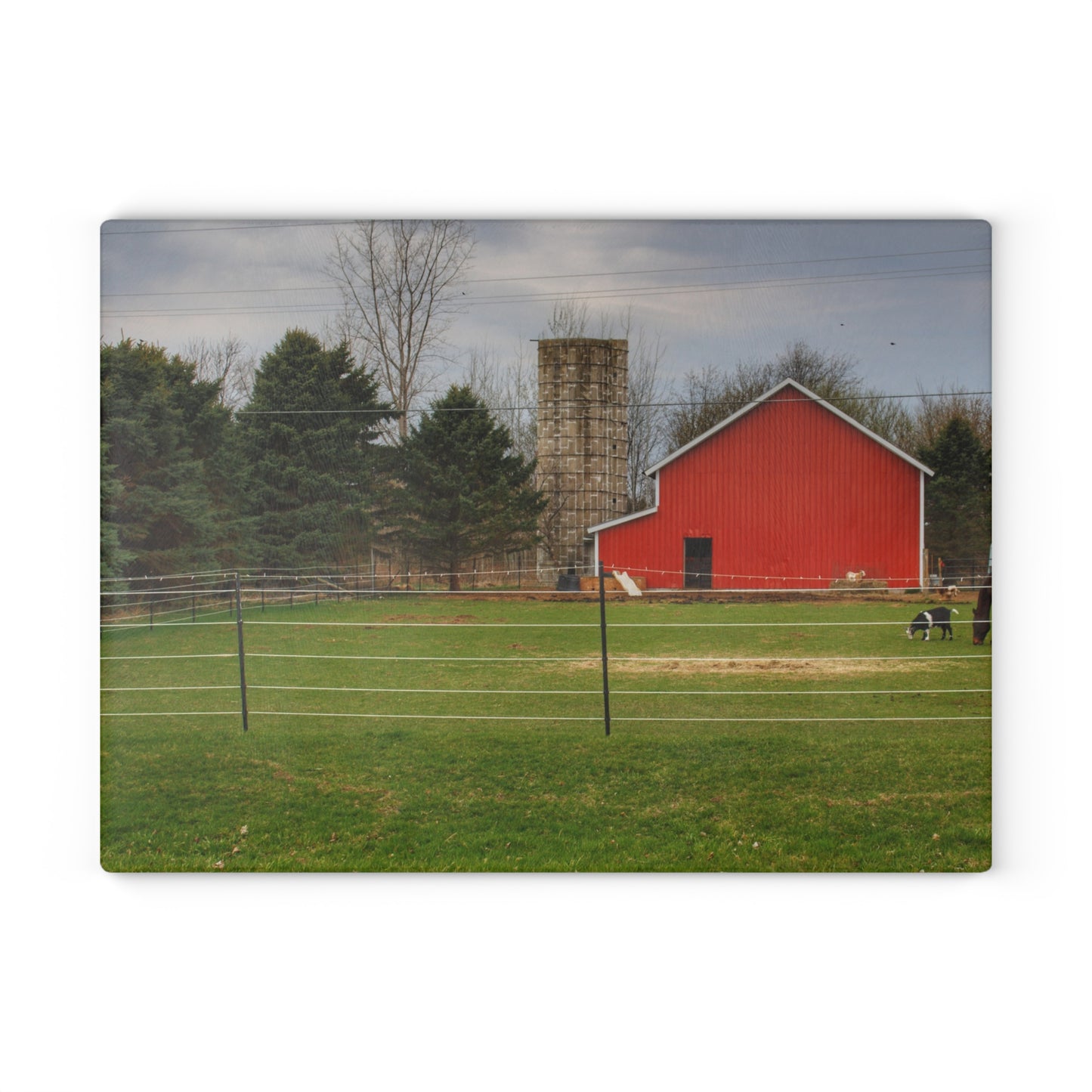 U R There Photography Fostoria Little Red Rustic Farmhouse Tempered-Glass Cutting Board