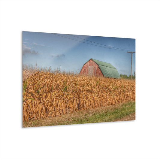 U R There Photography Beyond the Harvest Corn I Rustic Farmhouse Acrylic Wall Print