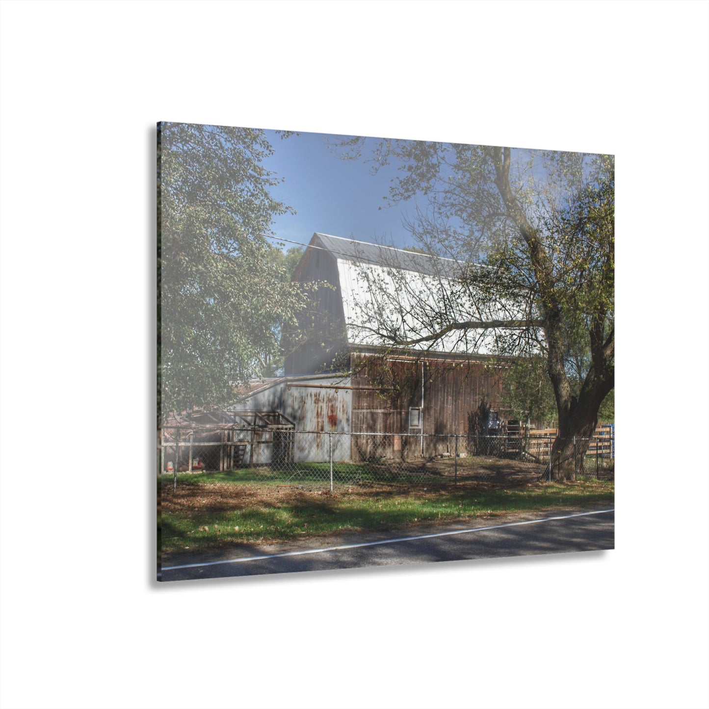 U R There Photography Birch Run Road Grey Rustic Farmhouse Acrylic Wall Print
