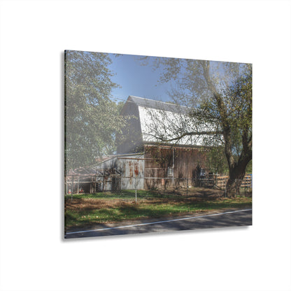 U R There Photography Birch Run Road Grey Rustic Farmhouse Acrylic Wall Print