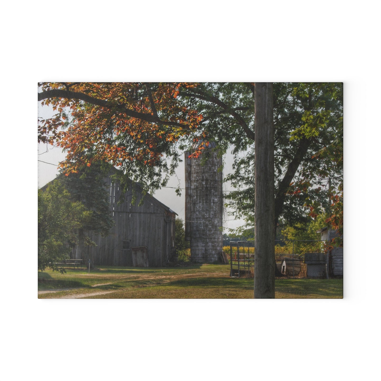 U R There Photography Hidden Grey of Tuscola Rustic Farmhouse Tempered-Glass Cutting Board