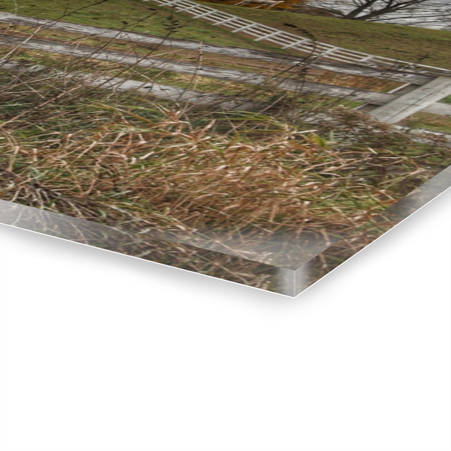 U R There Photography Millville Road Horses on the Hill Rustic Farmhouse Acrylic Wall Print