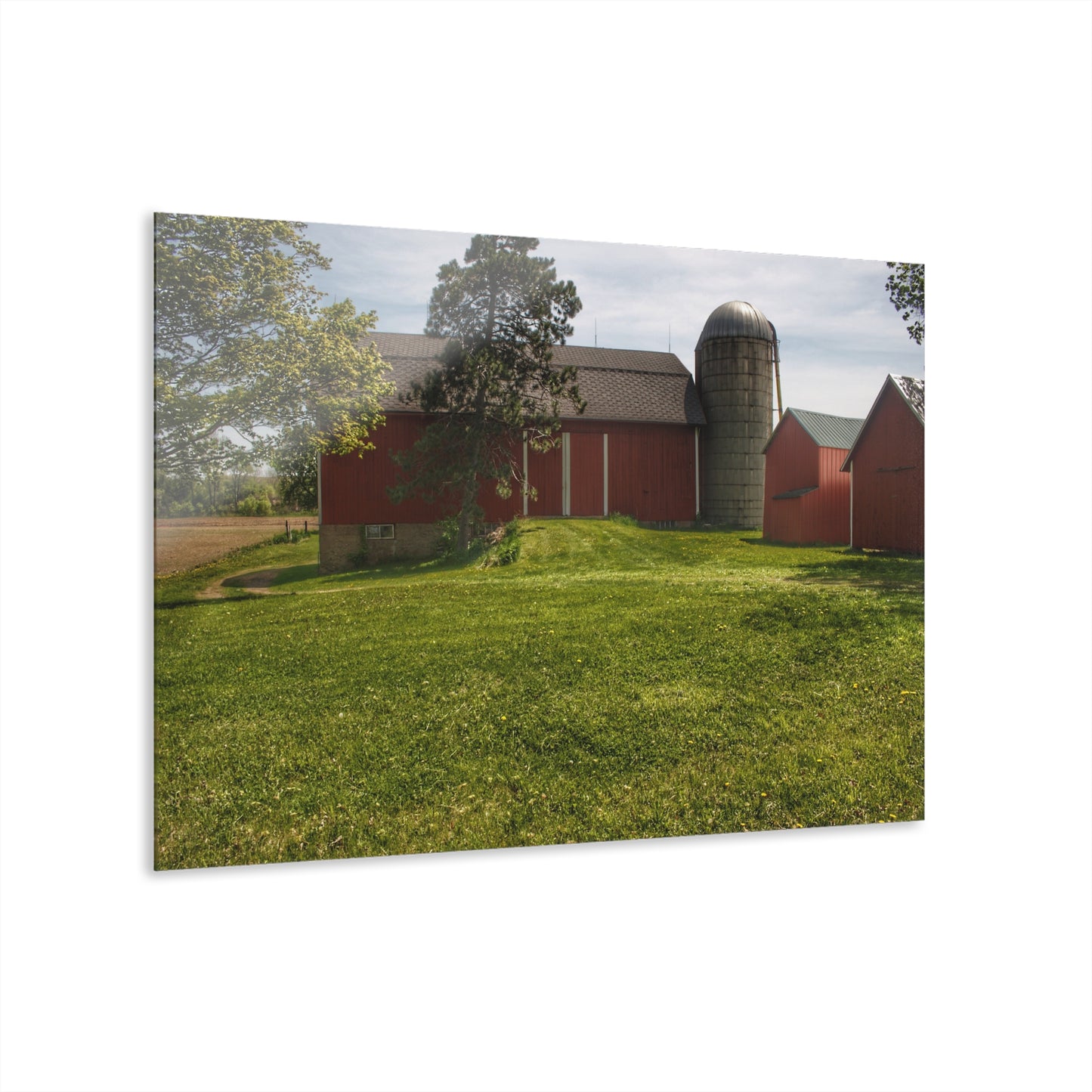U R There Photography Maple Leaf Road Red Rustic Farmhouse Acrylic Wall Print