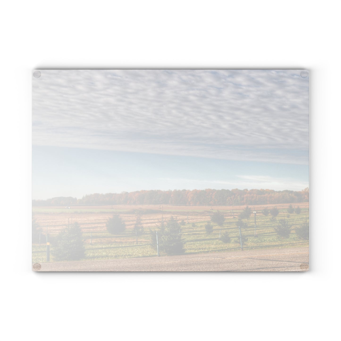 U R There Photography Fences, Firs and Fall Rustic Farmhouse Tempered-Glass Cutting Board