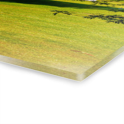 U R There Photography Lake Pleasant Road Hidden Quonset Rustic Farmhouse Acrylic Wall Print