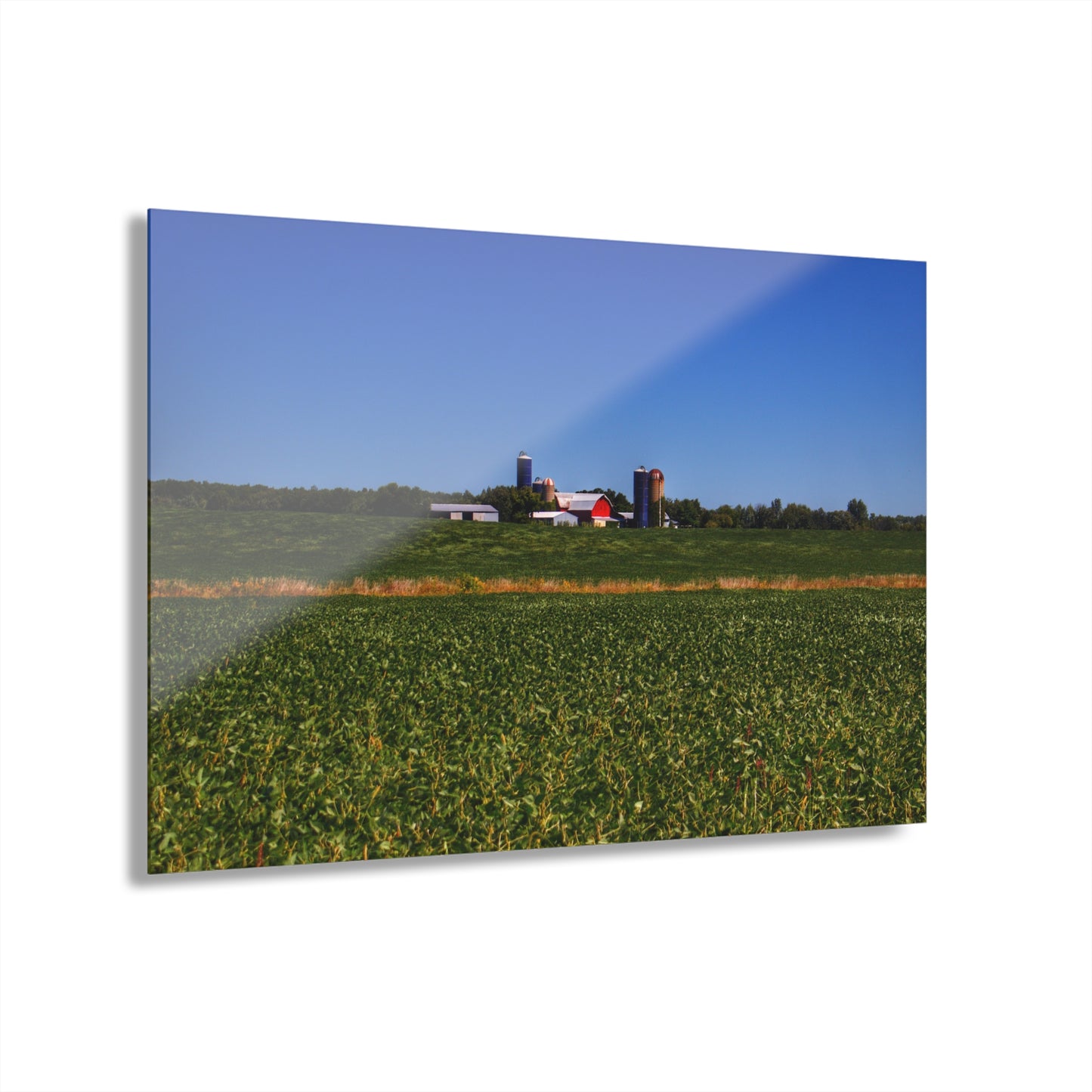 U R There Photography Otter Lake Road Farm Across the Field Rustic Farmhouse Acrylic Wall Print
