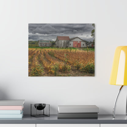 Barn Boutique Modern Farmhouse Acrylic Wall Print| Murphy Lake Road Quonset and Clan